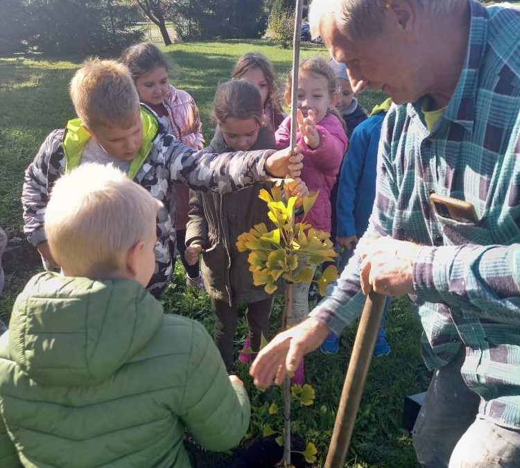 Dzień drzewa w naszej szkole