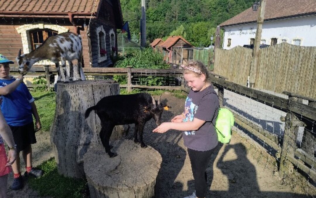 WYCIECZKA DO BAŁTOWA