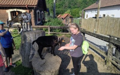 WYCIECZKA DO BAŁTOWA