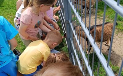 WYCIECZKA PRZEDSZKOLAKÓW DO „AGROSKAŁKI” – DZIEŃ PEŁEN ODKRYĆ I RADOŚCI!