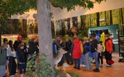 WYCIECZKI EDUKACYJNA DO PSZCZYNY